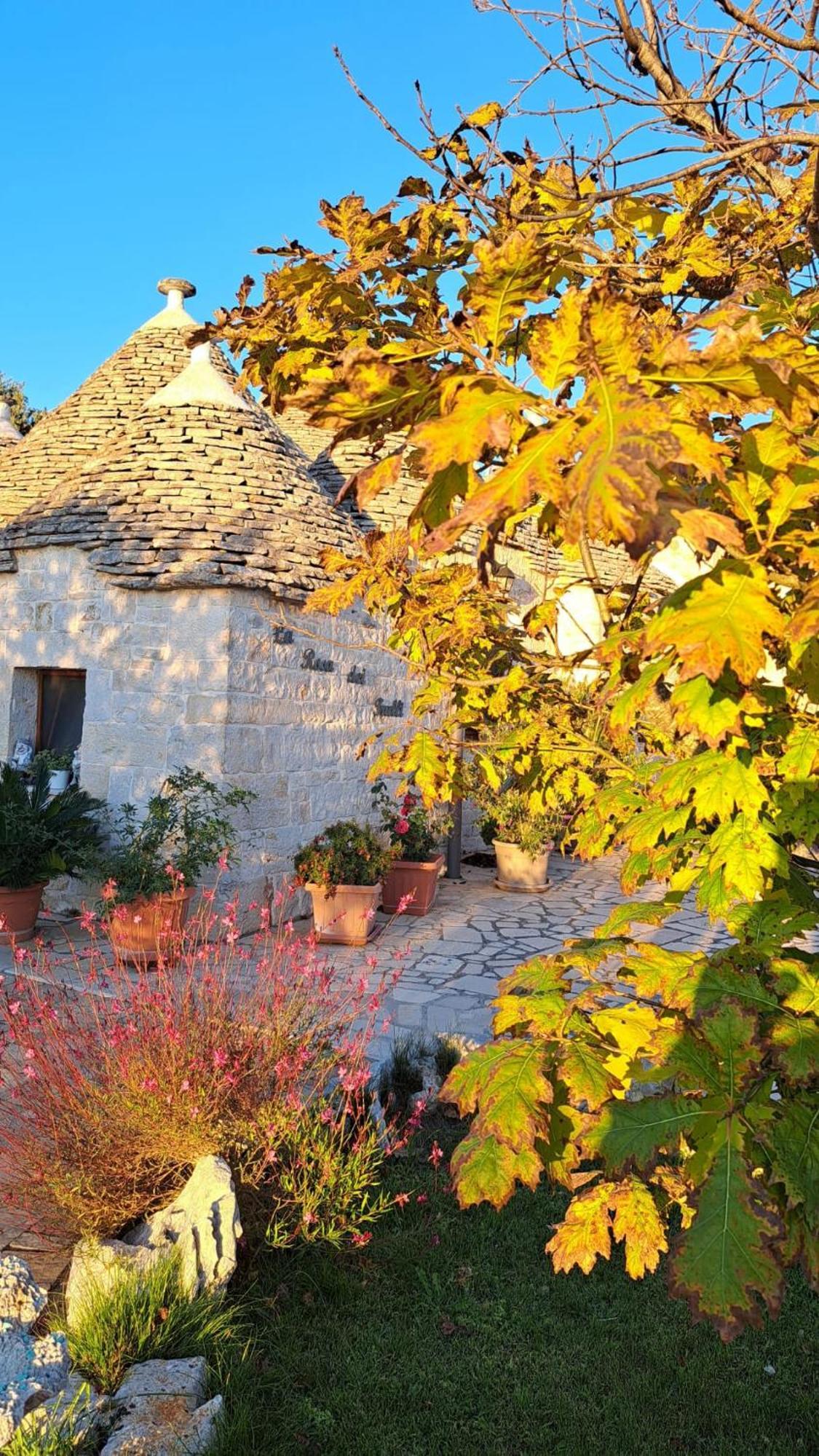 La Rosa Dei Trulli B&B Alberobello Exterior foto